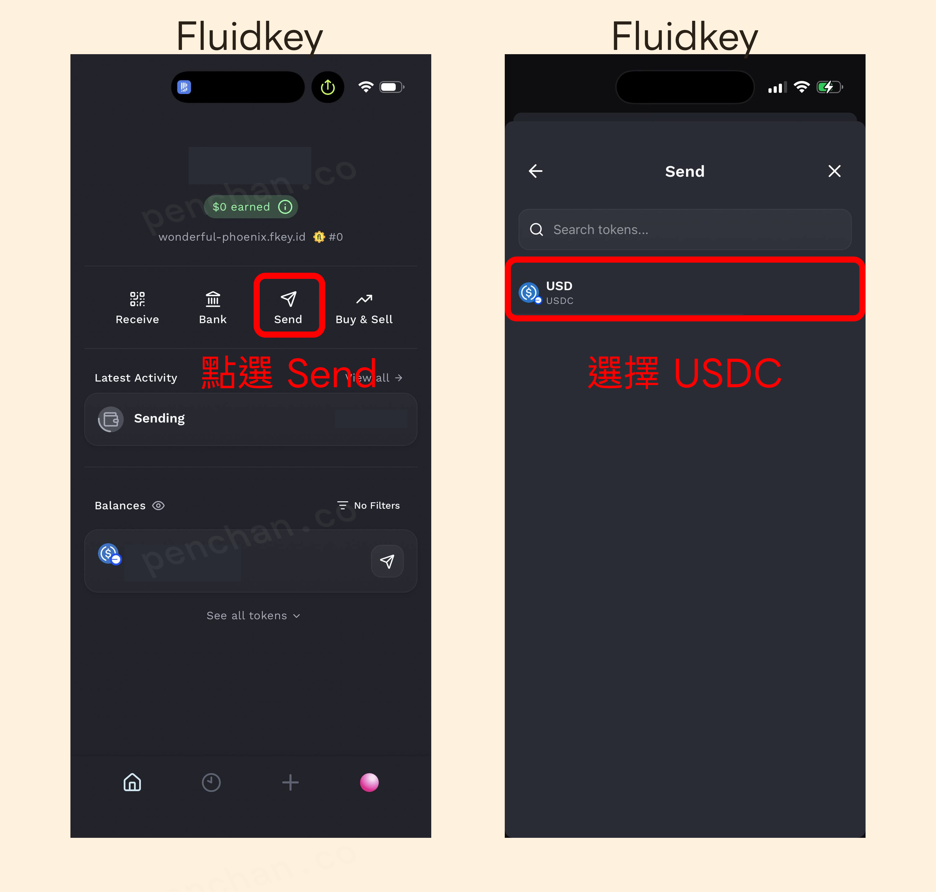 FluidKey 操作:首頁點 Send、選擇 USD(USDC)