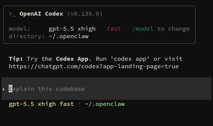 OpenAI Codex 程式代理